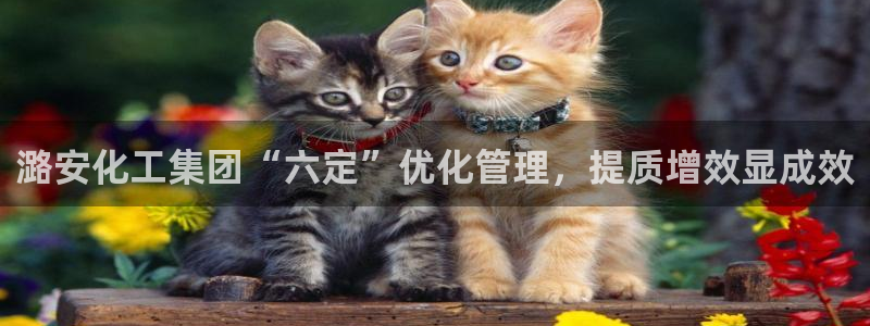 球盟会官方网入口