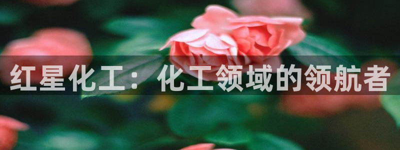 球盟会官方网址入口：红星化工：化工领域的领航者