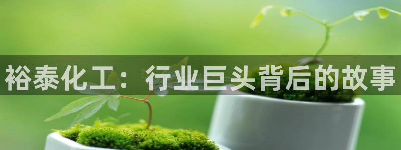 球盟会登陆入口