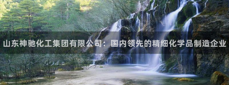 球盟会综合体育平台：山东神驰化工集团有限公司：国内领先的精细