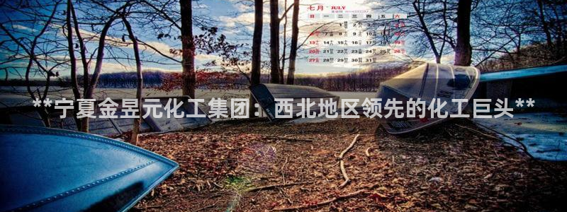 球盟会官方平台入口：**宁夏金昱元化工集团：西北地区领先的化