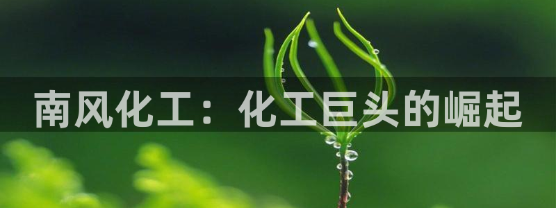 球盟会官方登录平台：南风化工：化工巨头的崛起