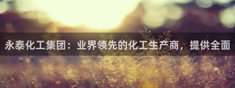 球盟会体育app官方网站：永泰化工集团：业界领先的化工生产商
