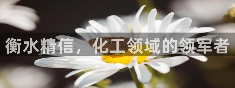 球盟会app最新地址在哪