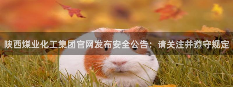 球盟会和中欧：陕西煤业化工集团官网发布安全公告：请关注并遵守