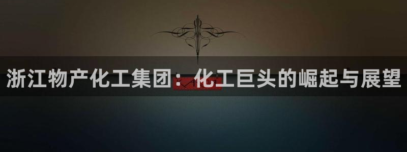 球盟会进不去球员吗