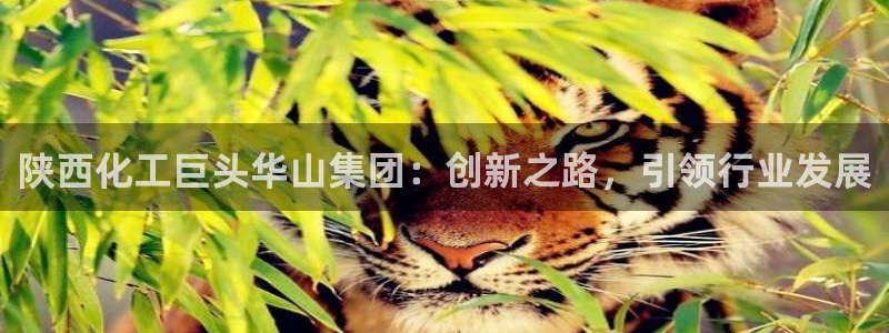 球盟会里面有打牌的嘛是真的吗