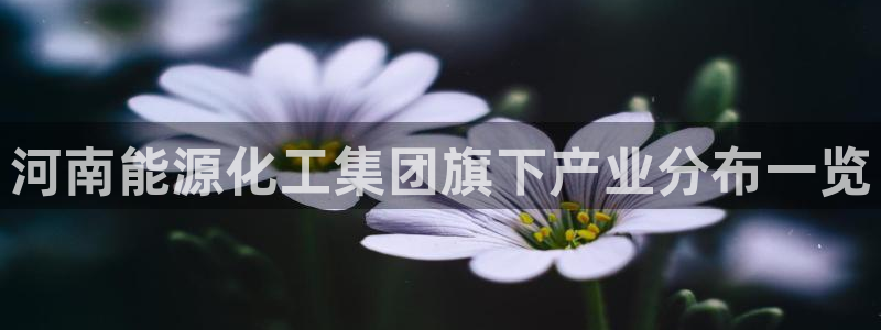 球盟会官方客服