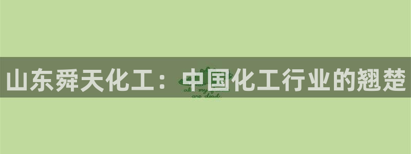 球盟会电子