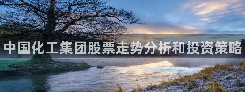 球盟会app最新地址在哪找：中国化工集团股票走势分析和投资策