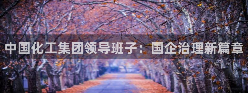 球盟会APP官网