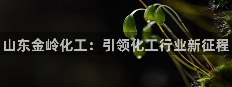 球盟会APP下载