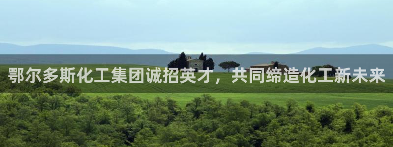 球盟会官方入口