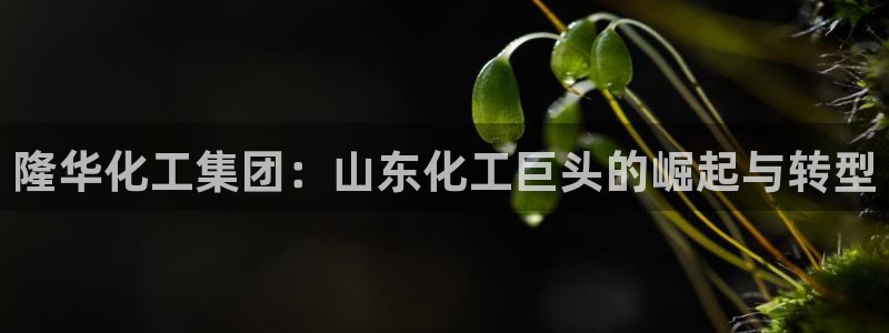 球盟会app最新地址在哪里