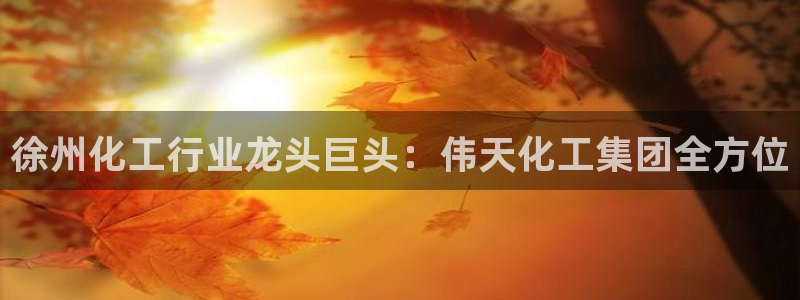球盟会进不去球员吗：徐州化工行业龙头巨头：伟天化工集团全方位