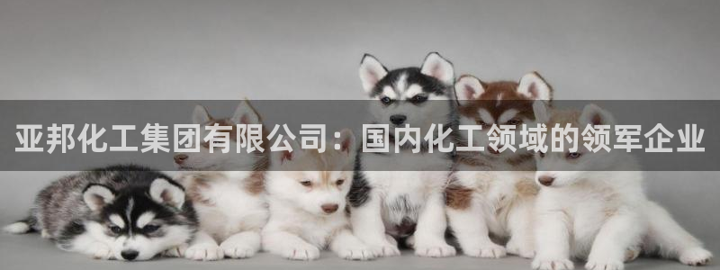 球盟会有限公司怎么样