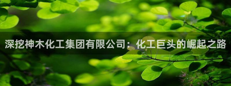 球盟会官方网址入口