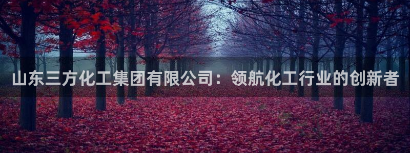球盟会可靠不：山东三方化工集团有限公司：领航化工行业的创新者