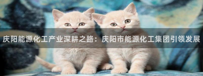 球盟会下载最新版