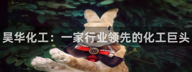 球盟会里面有打牌的嘛