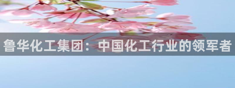 球盟会黑钱