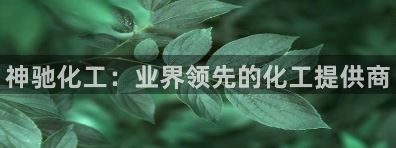 球盟会官方网站app：神驰化工：业界领先的化工提供商