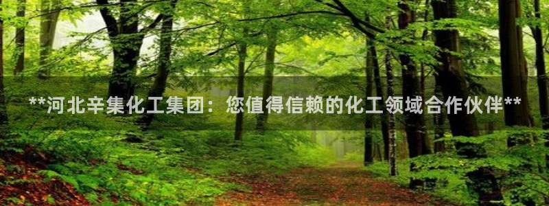 球盟会吧：**河北辛集化工集团：您值得信赖的化工领域合作伙伴