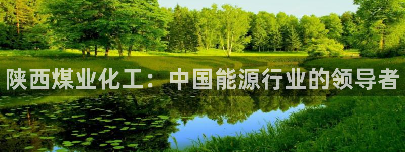 球盟会：陕西煤业化工：中国能源行业的领导者