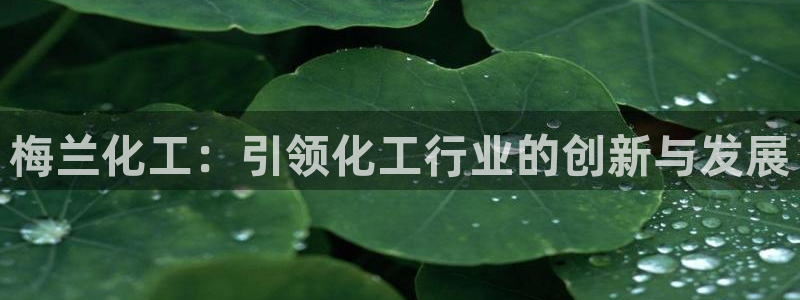 球盟会app最新地址在哪