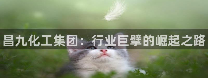 球盟会封号