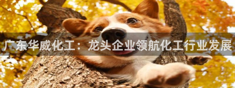 球盟会唯一