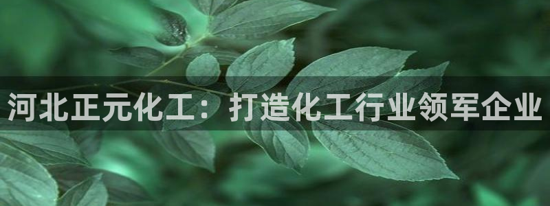球盟会有没有黑单的球员