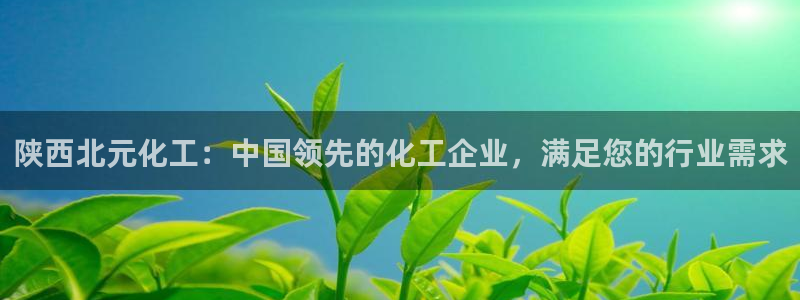 球盟会最新