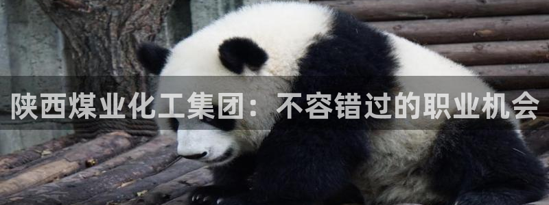 球盟会黑钱