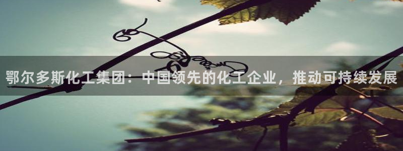 球盟会qm8597