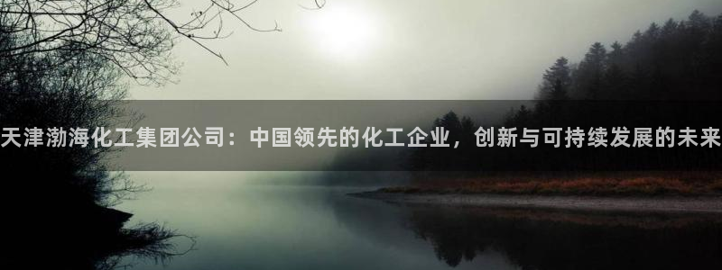 球盟会游戏几点玩合适：天津渤海化工集团公司：中国领先的化工企