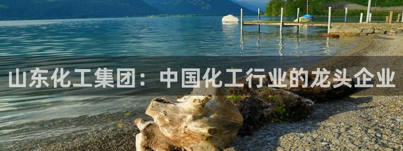 球盟会登陆入口