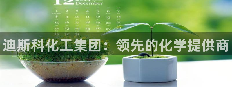 球盟会头号玩家：迪斯科化工集团：领先的化学提供商