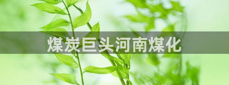 球盟会官方登录平台入口：煤炭巨头河南煤化