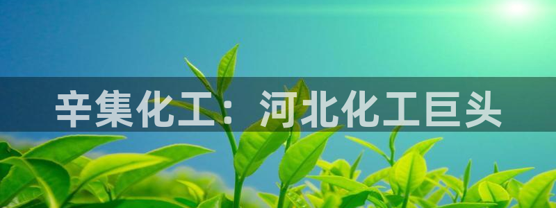 球盟会几点玩合适：辛集化工：河北化工巨头