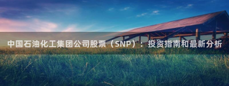 球盟会官方网址入口：中国石油化工集团公司股票（SNP）：投资