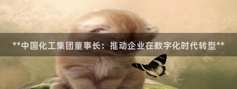 球盟会出款黑了