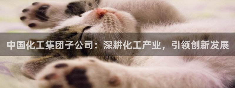 球盟会类似的网站