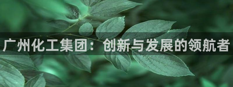 球盟会下款快吗：广州化工集团：创新与发展的领航者