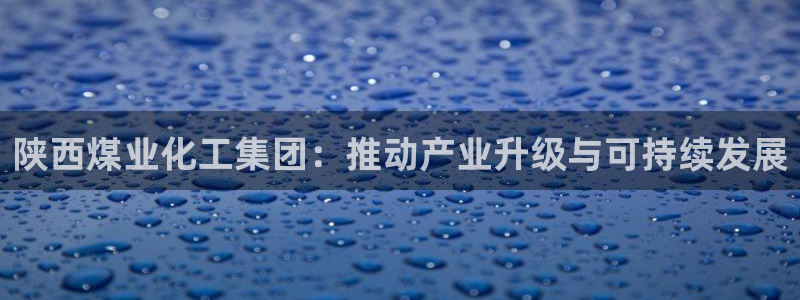 球盟会黑台：陕西煤业化工集团：推动产业升级与可持续发展
