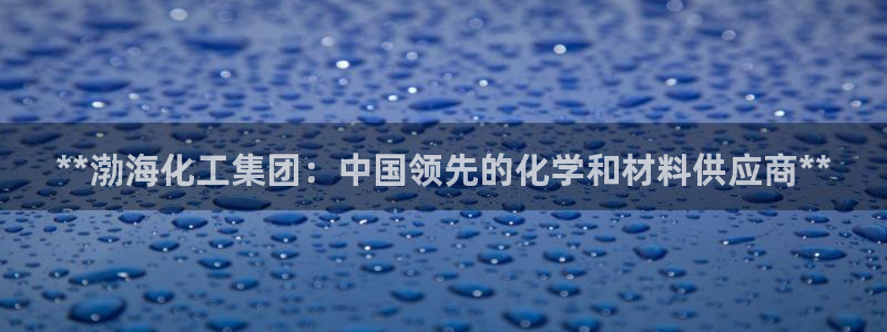 球盟会qm：**渤海化工集团：中国领先的化学和材料供应商**
