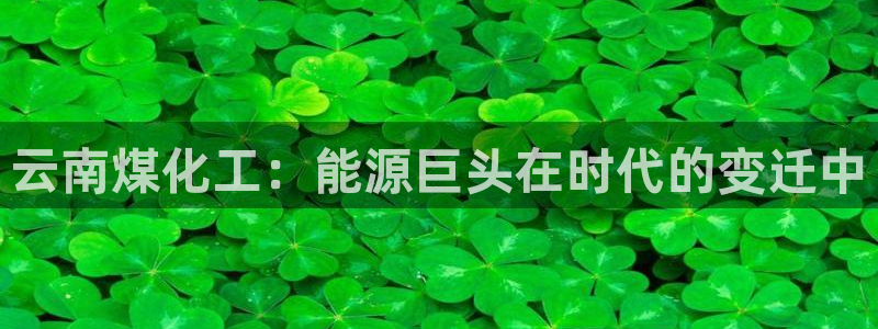 球盟会用的客服聊天是哪个软件