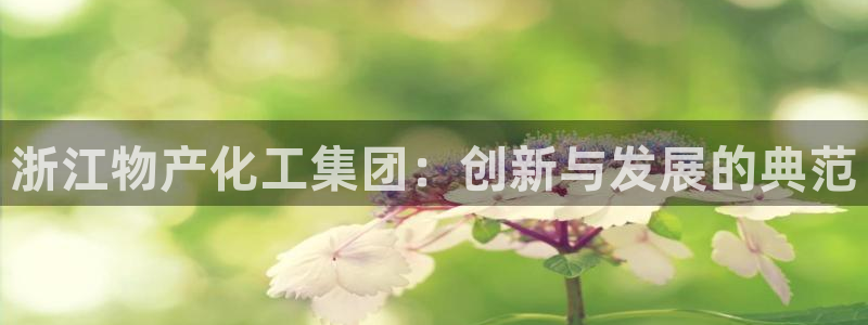 球盟会官方网址入口：浙江物产化工集团：创新与发展的典范
