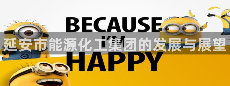 球盟会能退钱吗：延安市能源化工集团的发展与展望