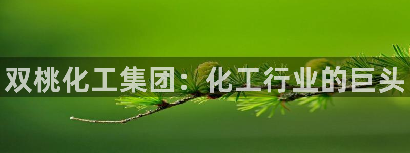 球盟会黑钱